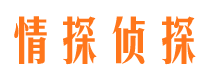 九江私家调查公司